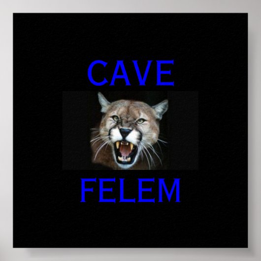 COUGAR Vorsicht vor der Katze - auf Latein. - Poster (Vorne)