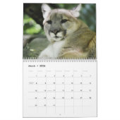 Cougar Wild Cat Kalender (Mär 2026)