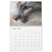 Cougar Wild Cat Kalender (Jan 2027)