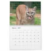 Cougar Wild Cat Kalender (Feb 2027)