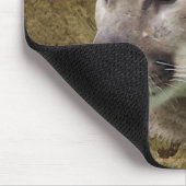 COUGAR Wildlife Mousepad (Ecke)