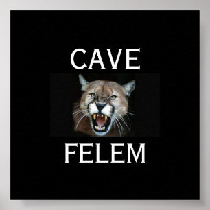 COUGARBeware der Katze - im Latein. - Besonders Poster