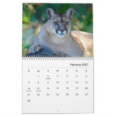 Cougars Wall Calendar Kalender (Feb 2027)
