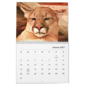 Cougars Wall Calendar Kalender (Jan 2027)
