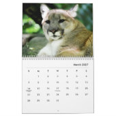 Cougars Wall Calendar Kalender (Mär 2027)