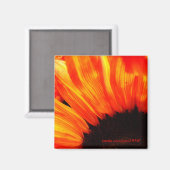 Couleur de feu magnet (Vorderseite/Rückseite)