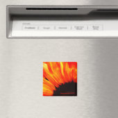 Couleur de feu magnet (In Situ (Geschirrspüler))