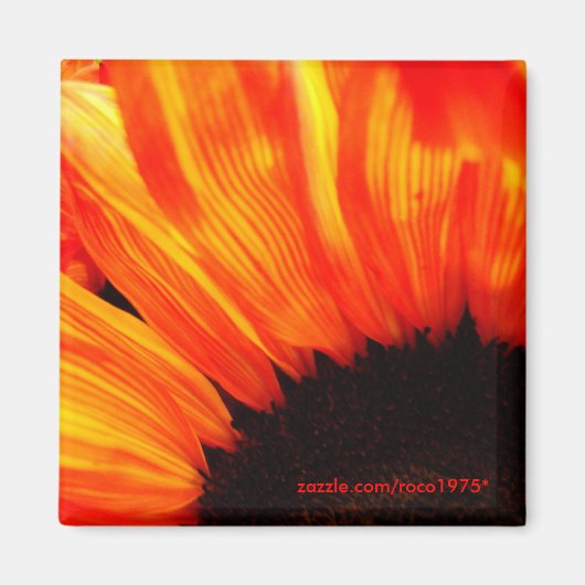 Couleur de feu magnet (Vorne)