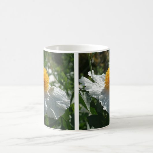 Coulter's Matilija Poppy Kaffeetasse (Mittel)