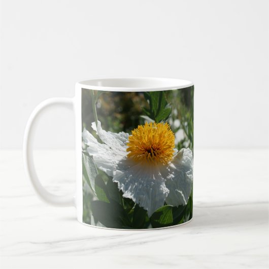 Coulter's Matilija Poppy Kaffeetasse (Links)
