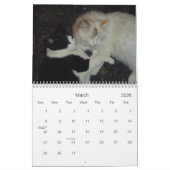 Count-down-Kalender 2013 Kalender (Mär 2026)