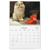 Count-down-Kalender 2013 Kalender (Feb 2027)