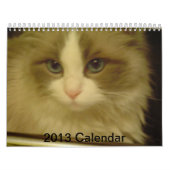 Count-down-Kalender 2013 Kalender (Titelbild)