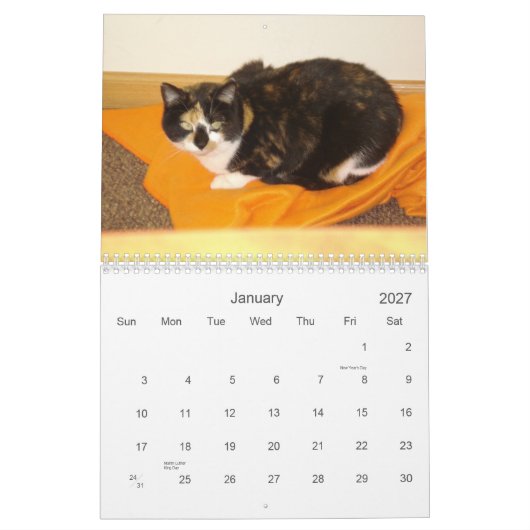 Count-down-Kalender 2013 Kalender (Jan 2027)