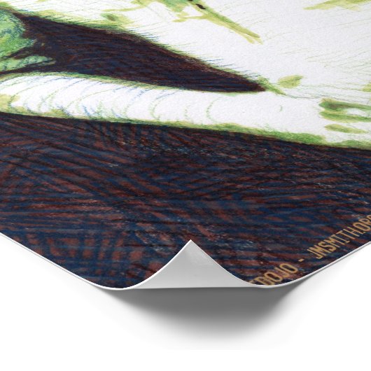 Count Koma Poster (Ecke)