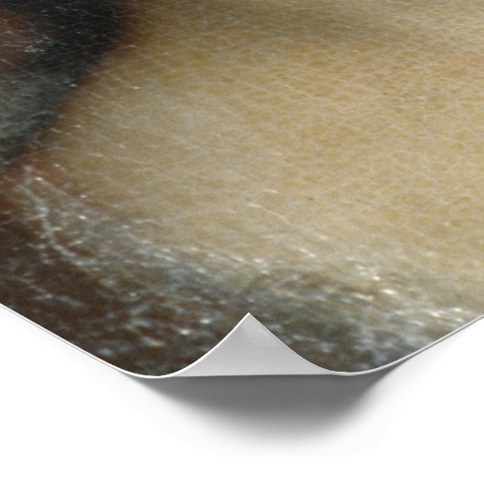 Countess Cosel Poster (Ecke)