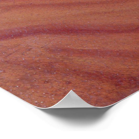 Countess Therese Brunswick Poster (Ecke)