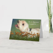 Counting in Dog Years Birthday Karte (Vorderseite)