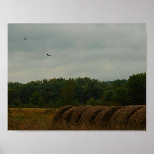 Country Bales Poster (Vorne)