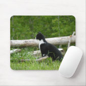 Country Cat Mouse Pad Mousepad (Mit Mouse)