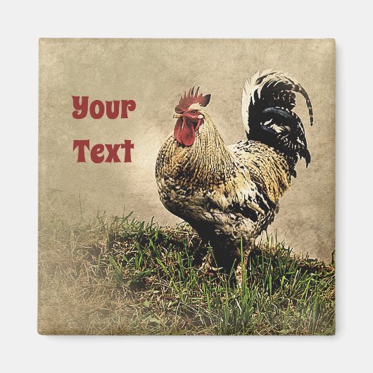 Country Chicken Rooster Magnet (Vorne)