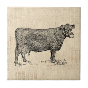 Country Cow Illustriert Art Fliese