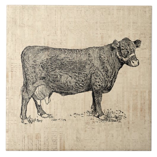 Country Cow Illustriert Art Fliese (Vorderseite)