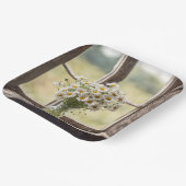 Country Daisy Bouquet im Fenster Pappteller (Gewinkelt)