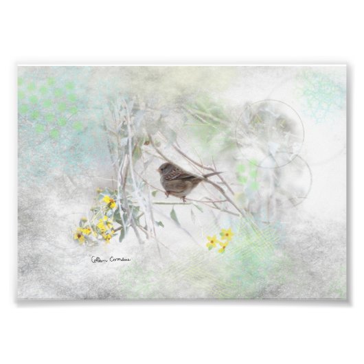 Country Dreams Fotodruck (Vorne)