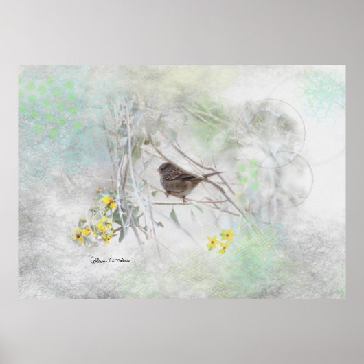 Country Dreams Poster (Vorne)