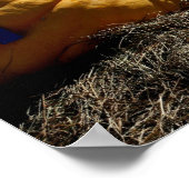 Country Fair Giant Pumpkin Blue Ribbon Poster (Ecke)