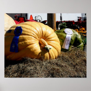 Country Fair Giant Pumpkin Blue Ribbon Poster