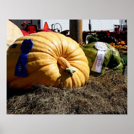 Country Fair Giant Pumpkin Blue Ribbon Poster (Vorne)