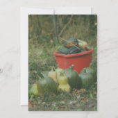 Country Garden Harvest Nature Party Einladung (Rückseite)