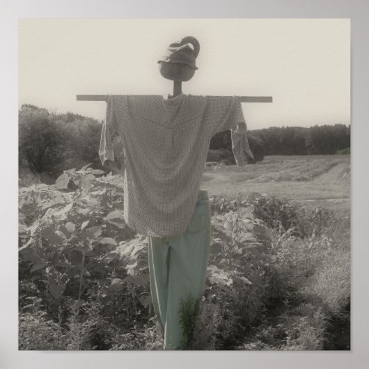 Country Garden Scarecrow Vintag teilweise Farbe Poster (Vorne)