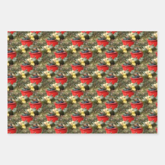 Country Garden Squash Nattern Muster Geschenkpapier Set (Vorderseite)