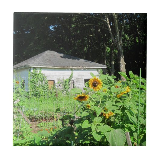 Country Garden Trivet Fliese (Vorderseite)