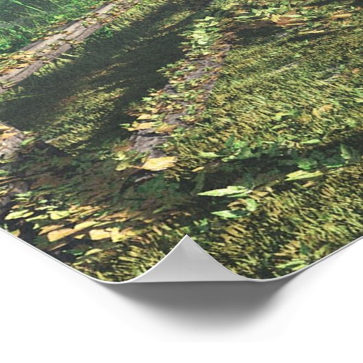 Country Lane Poster (Ecke)