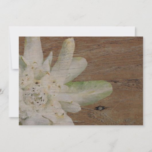 Country Mountain Wedding Edelweiss Save the Date (Rückseite)