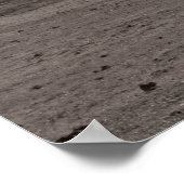 Country Oak Tree Sepia Poster (Ecke)