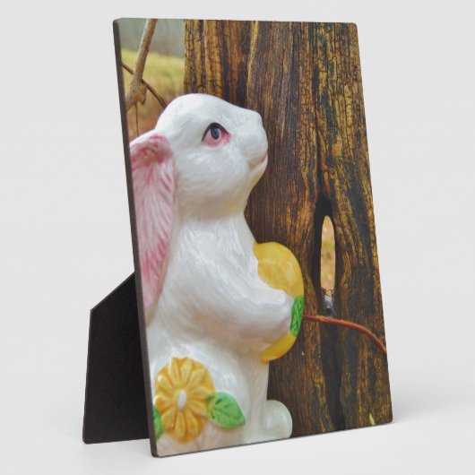 Country Ostersonne Fotoplatte (Seite)