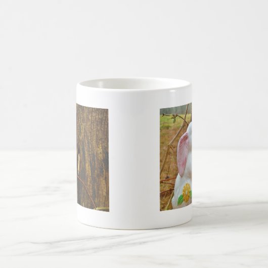 Country Ostersonne Kaffeetasse (Mittel)