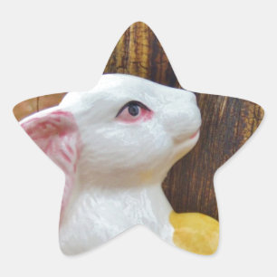 Country Ostersonne Stern-Aufkleber