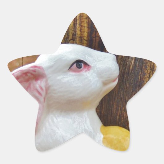 Country Ostersonne Stern-Aufkleber (Vorderseite)