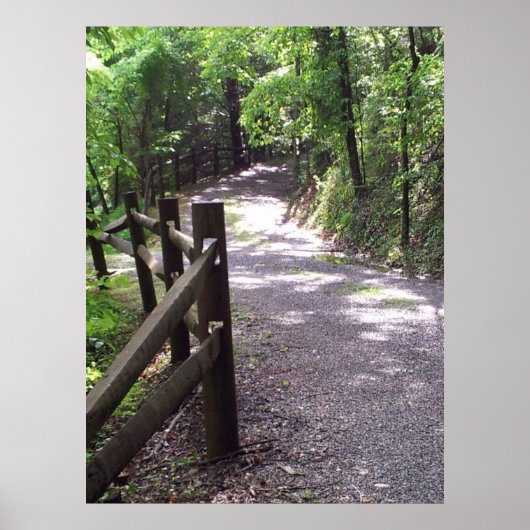 Country Path Print Poster Artwork Wall Mural (Vorne)