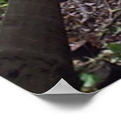 Country Path Print Poster Artwork Wall Mural (Ecke)