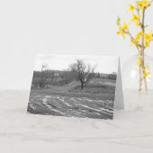 Country Road 7 x 5 Folded Greeting Card - blank Karte (Gelbe Blume)
