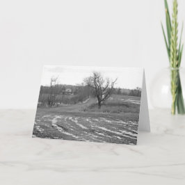Country Road 7 x 5 Folded Greeting Card - blank Karte