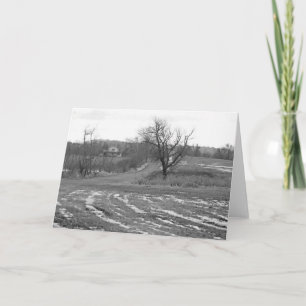 Country Road 7 x 5 Folded Greeting Card - blank Karte