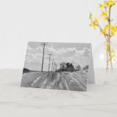 Country Road 7 x 5 Folded Greeting Card - blank Karte (Gelbe Blume)